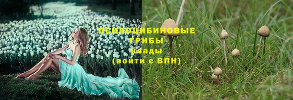 дмт Дмитриев