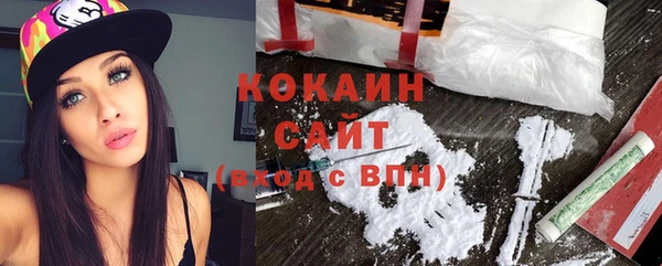 дмт Дмитровск